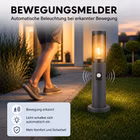 KI-generierter Inhalt. 116474-11-ai.jpg