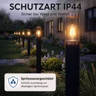KI-generierter Inhalt. 116477-10-ai.jpg