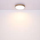 116545-A2.jpg