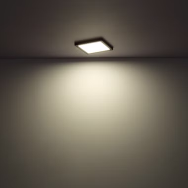 117181-A.jpg 117181-A.jpg