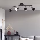 117845-A.jpg