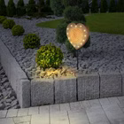 117869-A.jpg