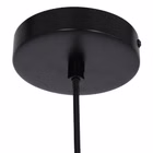 3331ZW-9.jpg