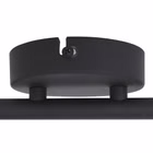 7902ZW-2.jpg