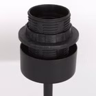 8161ZW-3.jpg