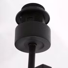 8175ZW-4.jpg