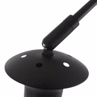 8195ZW-2.jpg