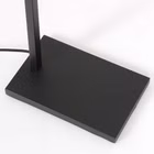 8217ZW-6.jpg
