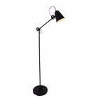 1325ZW-3.jpg