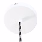 7730W-7.jpg