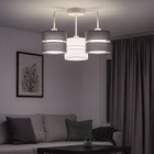 116169-2N-2.jpg