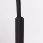 3498ZW-5.jpg