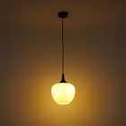 122495-A2.jpg