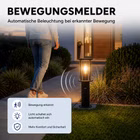 KI-generierter Inhalt. 122382-10-ai.jpg