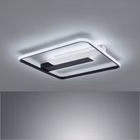 21310-1.jpg