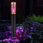 116477-2RGB-Pink.jpg