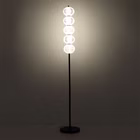 127426-24.jpg