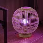 99721-2M.jpg