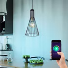 115695-2Smart.jpg