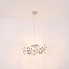 124061-A2.jpg