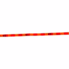 5261361-5.jpg