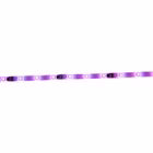 5261361-7.jpg