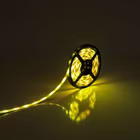 5269061-14.jpg