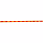 5269061-7.jpg