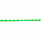 5269061-8.jpg