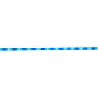 5269061-9.jpg