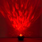 5273261-14.jpg