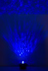 5273261-3.jpg