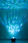 5273261-5.jpg