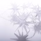 5288826-6.jpg