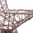 5289126-10.jpg