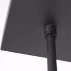 3066ZW-2.jpg