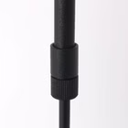 3066ZW-4.jpg