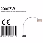 9900ZW-13.jpg