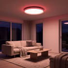 15555-16-2RED.jpg