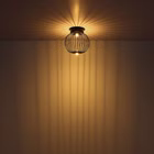 133198-A3.jpg