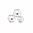 81510102-6.jpg