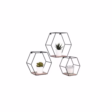81510102-6.jpg 81510102-6.jpg