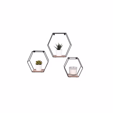 81510102-7.jpg 81510102-7.jpg