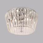 2893-3CC-1.jpg
