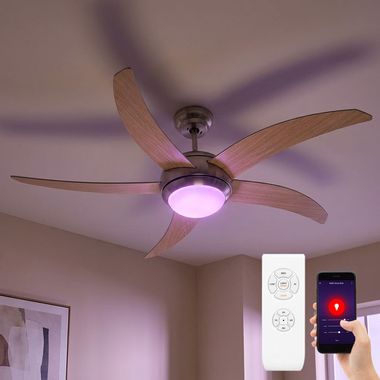 RGB LED ceiling fan, remote control, app and voice control