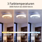 KI-generierter Inhalt. 97272-10-ai.jpg