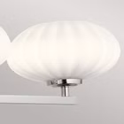 QN-PIM3-PC-5.jpg