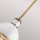QN-TOLLIS-MP-NBR-4.jpg