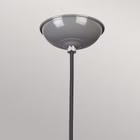 139509-5.jpg