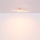 133371-24.jpg